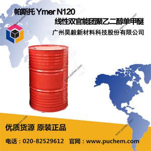 ��˹�� Ymer N120 ����˫������Բ�Ҷ���������
